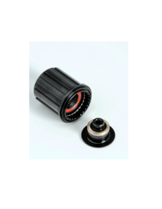 Dt Swiss corpo ruota libera...