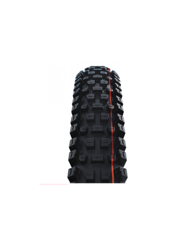 Schwalbe copertone Albert Trail Pro...