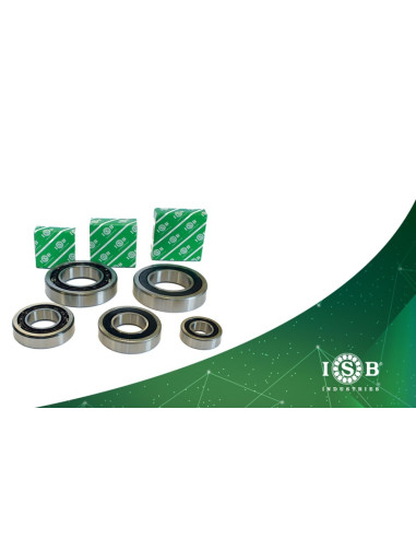 Cuscinetto ISB VMAX 17 x 26 x 7