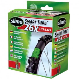 Camera d'aria  Slime...
