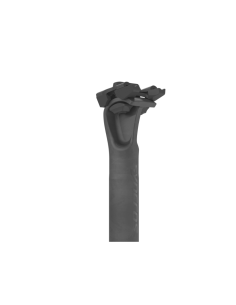 REGGISELLA SYNCROS DUNCAN... 2